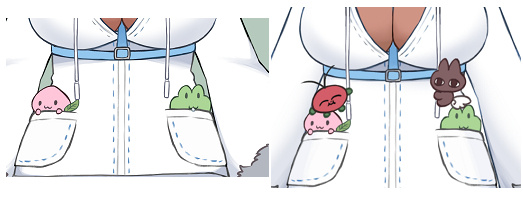 Accessories (Optional)